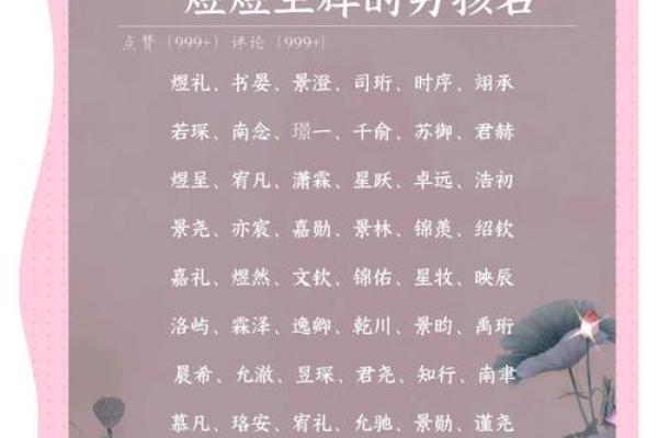 2019年出生的姓朱男孩如何起名,宜用什么字姓名 2019年出生的姓朱男孩如何起名,宜用什么字姓名