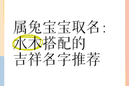 5月份出生的属兔女孩起什么名字好姓名