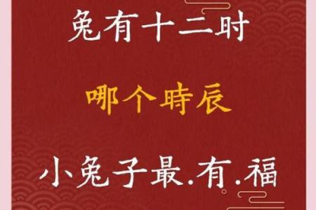 如何给亥时出生的属兔男孩起名最好姓名