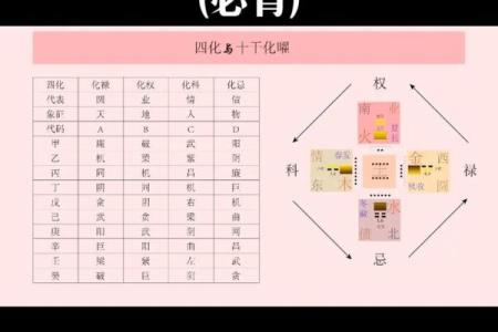 罗镇老师紫薇斗数