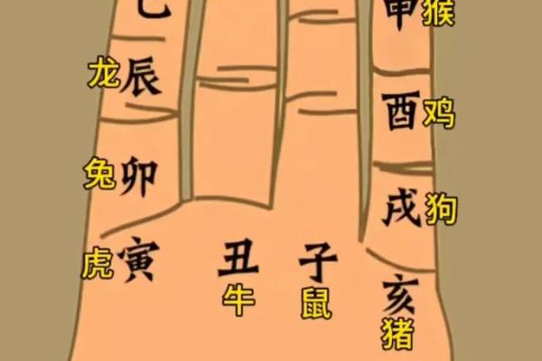 10个斗数解盘技巧