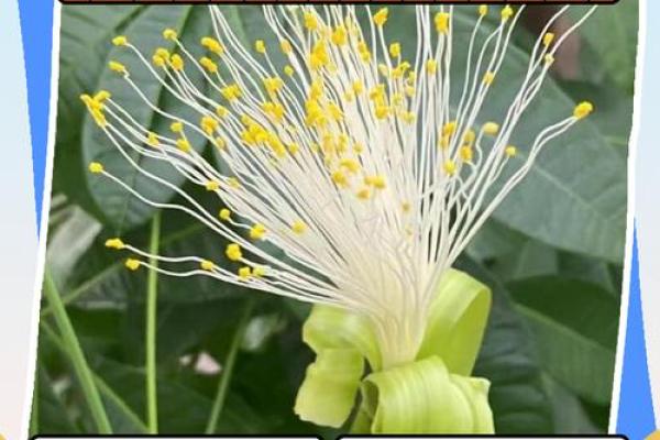 风水上一个人要发财的预兆有哪些 风水上一个人要发财的预兆有哪些