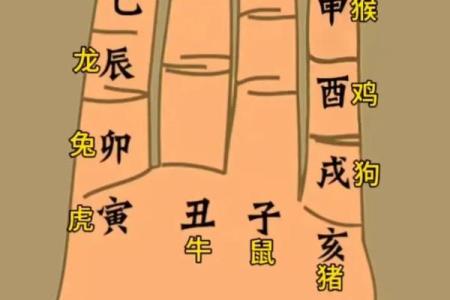 10个斗数解盘技巧