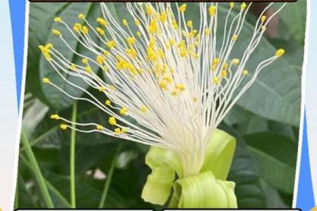 风水上一个人要发财的预兆有哪些