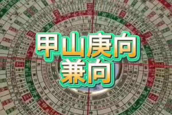 甲山庚向 杨公风水 甲山庚向 杨公风水
