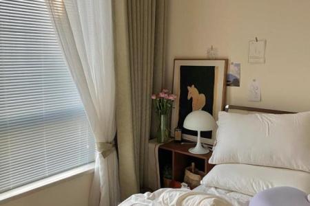 实例中，卧室窗帘风水旺的颜色