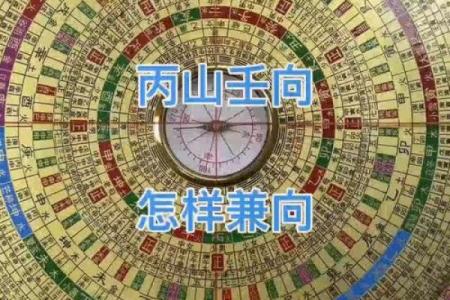 丙山壬向兼午子风水