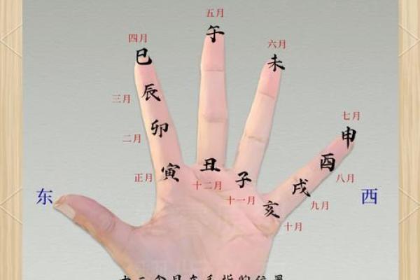 算命是怎样算出来的呢 算命是怎样算出来的呢