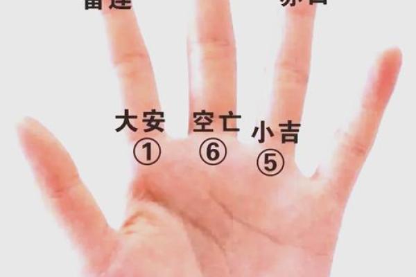 小六壬紫薇斗数 小六壬紫薇斗数