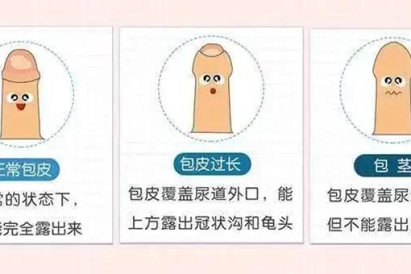 阴茎有痣算命 阴茎有痣算命