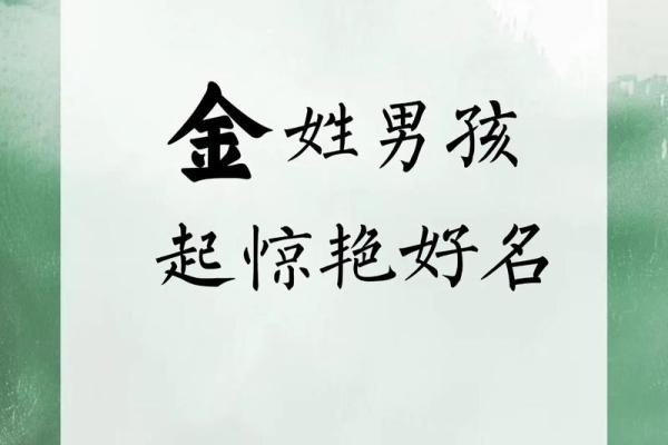 金姓女孩名字大全-金姓女孩起名字大全-金姓名字大全姓名 金姓女孩名字大全-金姓女孩起名字大全-金姓名字大全姓名