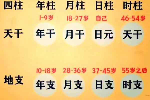 八字免费测试名字,八字姓名解析免费测试