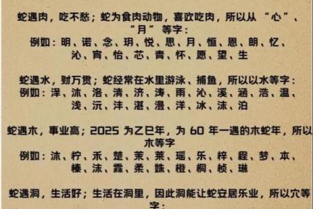 中午12点出生的属蛇男孩如何取名，宜用什么字姓名