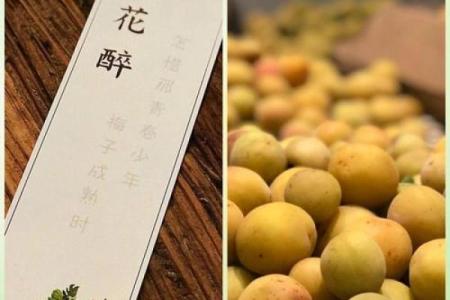 吕祖灵签第四十九签 古人陶渊明归隐