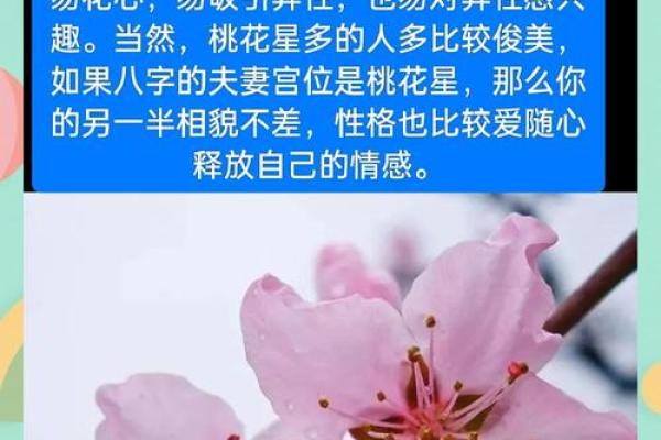 神煞里有桃花是什么意思,桃花神煞在四柱(详解 与桃花有关的八字命运) 神煞里有桃花是什么意思,桃花神煞在四柱(详解 与桃花有关的八字命运)