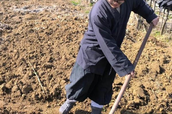 去道观请道士算命花钱吗可信吗