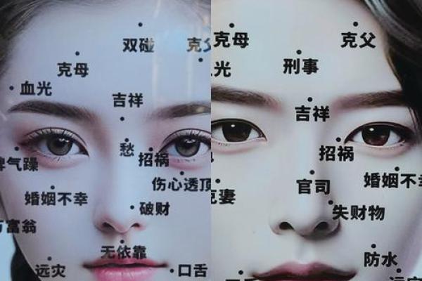 女人有黑观音痣 下巴的痣房屋多 女人有黑观音痣 下巴的痣房屋多