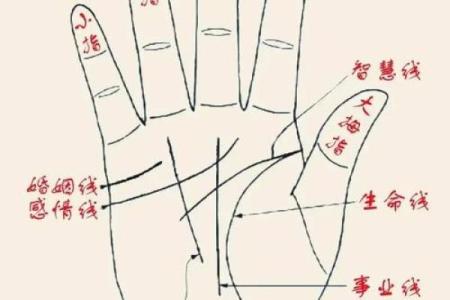 看手相算命：第六课 实际看