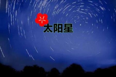 紫薇斗数太阳不得