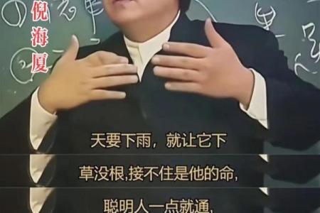 倪师设计紫薇斗数