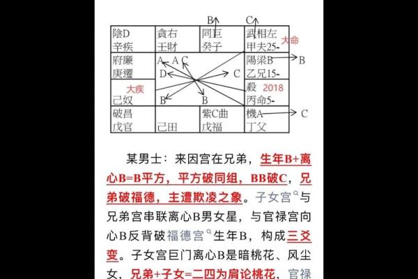 紫薇斗数精成大家