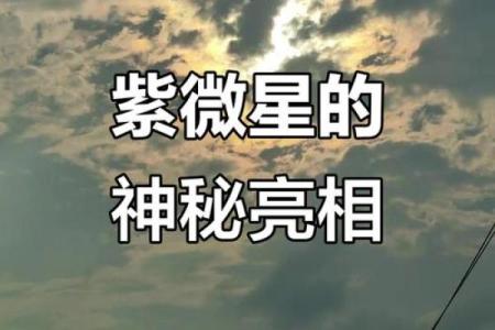 预言紫薇星