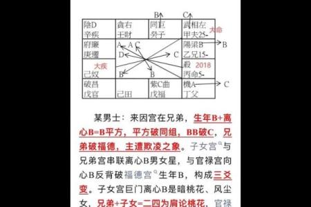 紫薇斗数精成大家