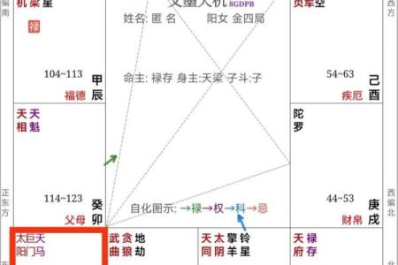 紫薇斗数领袖格局