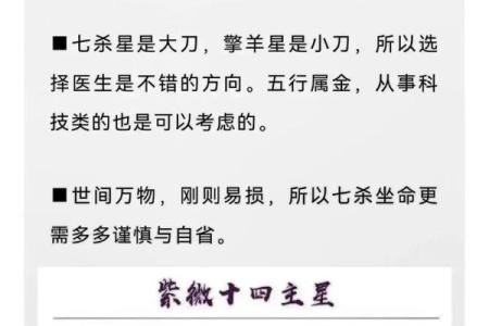 一分钟学会紫微斗数——夫妻给我带来的福气#国学文化