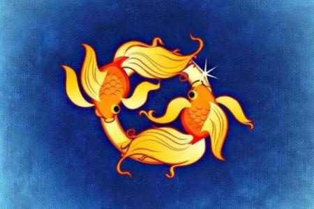 塔罗测试：你的事业高峰期是什么时候？