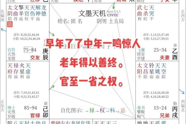 名人的紫薇斗数 名人的紫薇斗数