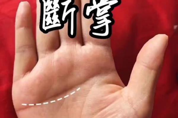 女人断掌手相算命图解