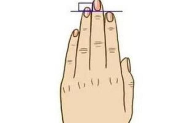 测试:食指无名指的长短决定你的一生,你的运势如何? 测试:食指无名指的长短决定你的一生,你的运势如何?