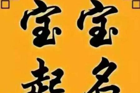 新生儿八字起名