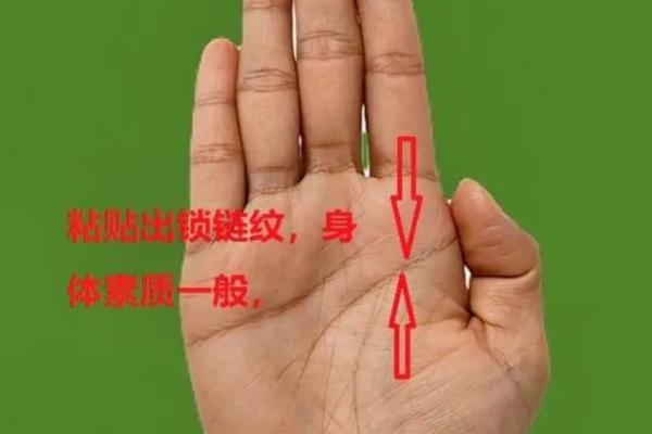 手型算命:木型人的性格与命运 手型算命:木型人的性格与命运