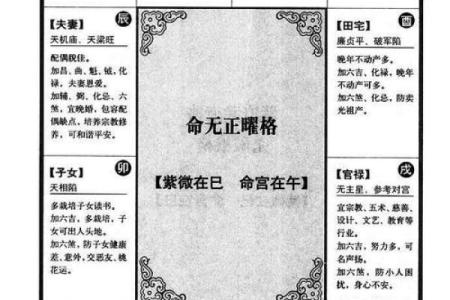 紫微斗数诸星落诸宫之：紫微星兄弟宫详解