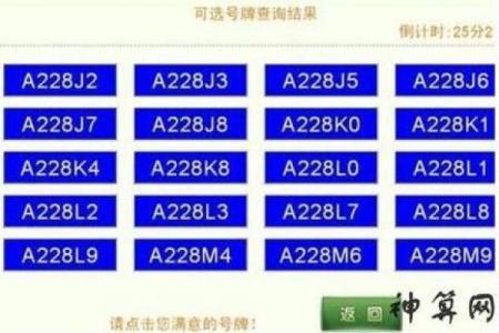 车牌吉凶吉测分打分测试