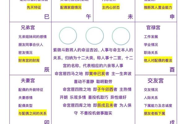 日月并命格,紫微斗数十大贵命命格 日月并命格,紫微斗数十大贵命命格