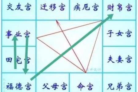 紫薇斗数排版