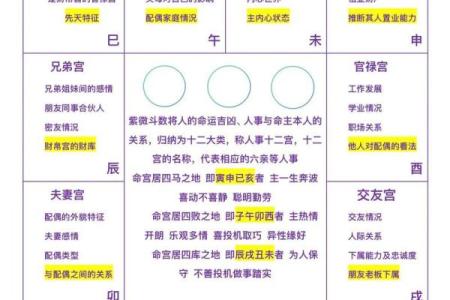 日月并命格,紫微斗数十大贵命命格