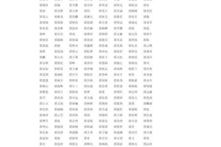 2020年腊月二十八出生男孩缺土新颖好听名字精选姓名