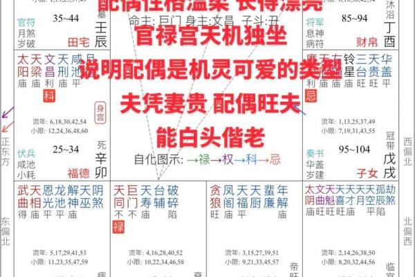 紫薇斗数多久会看盘 紫薇斗数多久会看盘