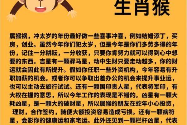 猴年的八字 猴年的八字