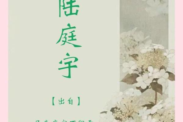 2019年出生的姓胡男孩如何起名，宜用什么字姓名