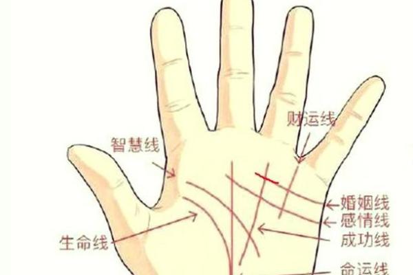 女人右手掌纹图解算命婚姻线 咋看女人右手的婚姻线 女人右手掌纹图解算命婚姻线 咋看女人右手的婚姻线