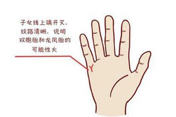 免费算命一生有几个孩子,子女线要怎么看