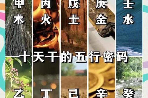探秘八字,解锁人生密码 探秘八字,解锁人生密码