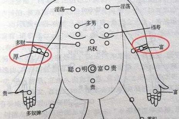肩膀宽算命 肩膀宽算命
