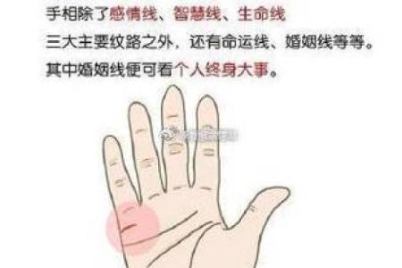 女人右手掌纹图解算命婚姻线 咋看女人右手的婚姻线
