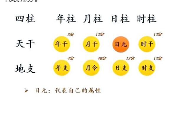 生辰八字教你怎么看五行